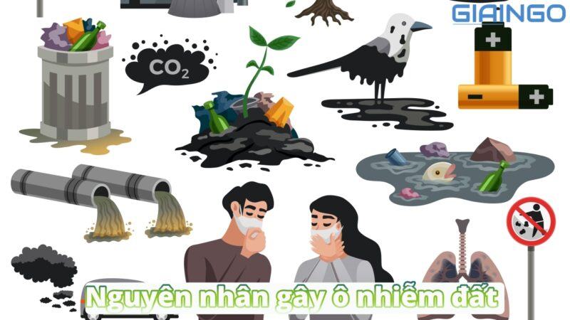 Nguyên nhân gây ô nhiễm đất là gì Hậu quả và cách khắc phục