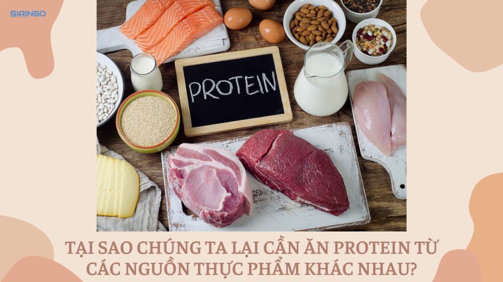 Tại sao chúng ta lại cần ăn protein từ các nguồn thực phẩm khác nhau?