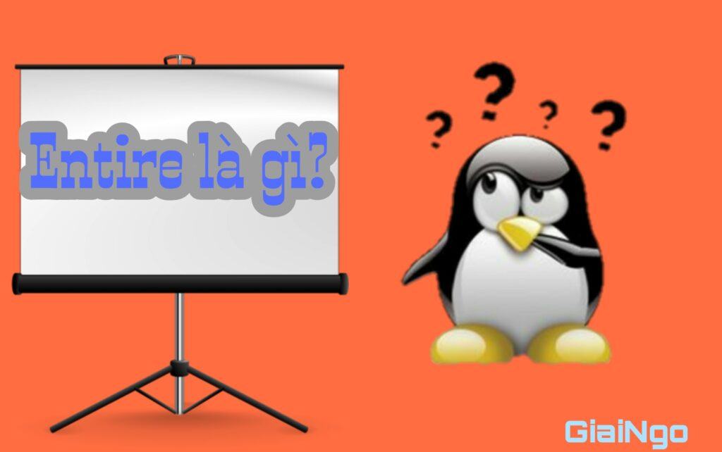 Entire là gì? Cách phân biệt và một số khái niệm liên quan đến entire 1 entire là gì