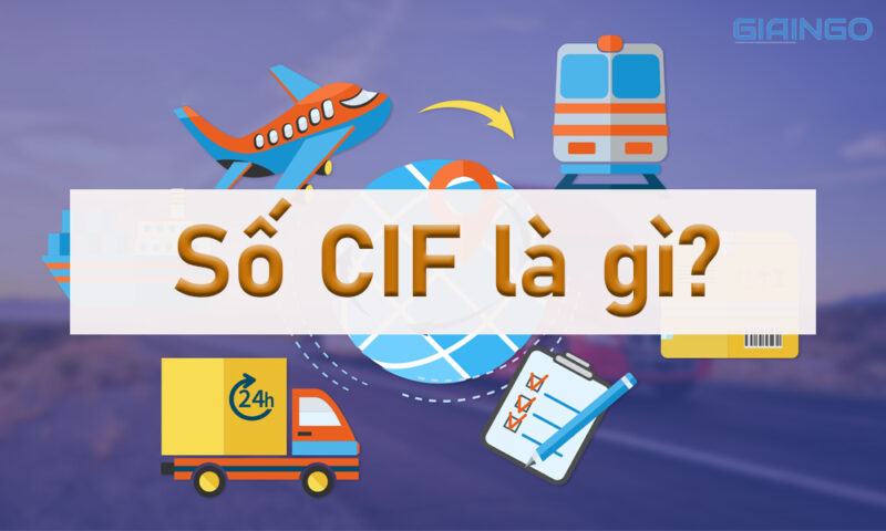 Số CIF là gì? 2 cách tra cứu mã CIF nhanh chóng