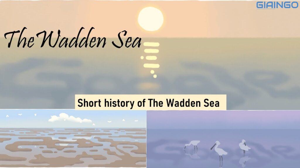 Biển Wadden là gì? Tại sao được Google Doodle tôn vinh? 1 Biển Wadden là gì?