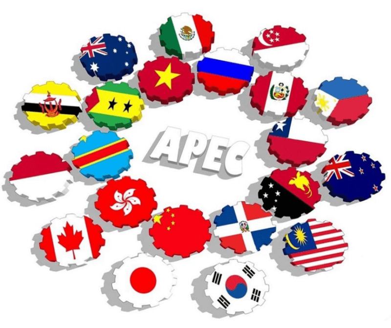 Việt Nam gia nhập APEC năm nào?