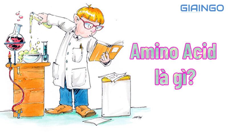 Amino Acid là gì? 4 vai trò của Amino Acid đối với sức khỏe
