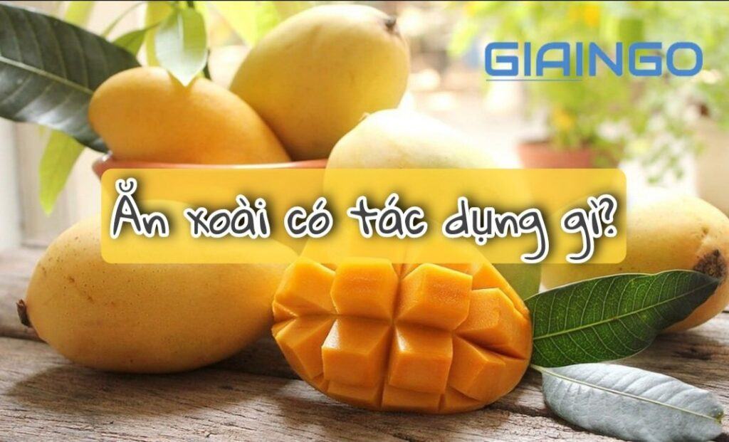 Ăn xoài có tác dụng gì? 10 lợi ích của xoài đối với sức khoẻ ai cũng phải biết 1 Ăn xoài có tác dụng gì?