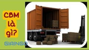 CBM là gì?