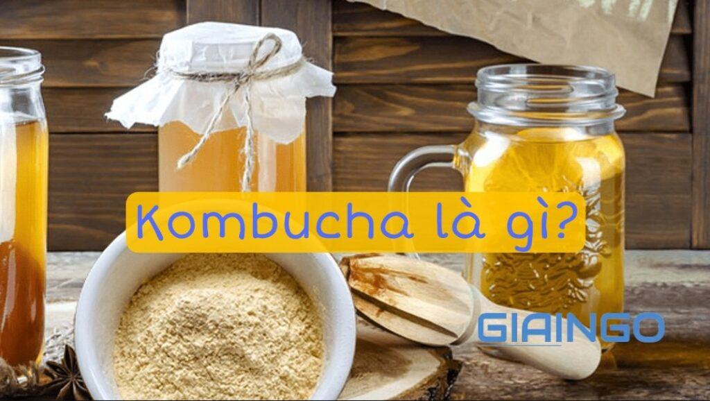 Kombucha là gì? Bật mí về loại trà lên men có từ lâu đời 1 Kombucha là gì?