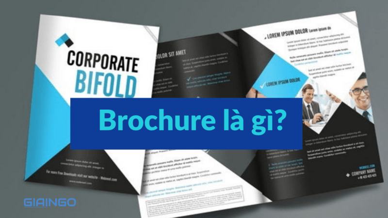 Brochure là gì? Cách thiết kế Brochure ấn tượng nhất