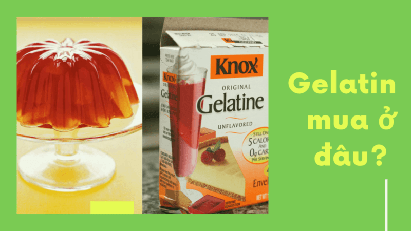 Gelatin mua ở đâu? Công dụng, cách sử dụng của Gelatin