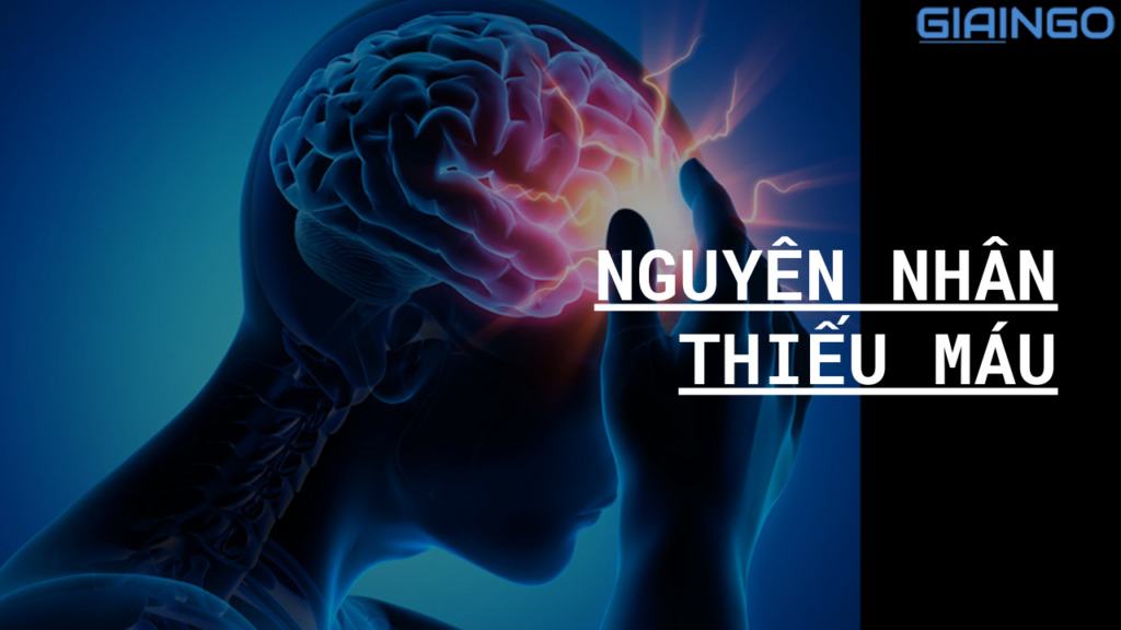 Nguyên nhân thiếu máu là gì? Dấu hiện nhận biết thiếu máu 1 nguyên nhân thiếu máu