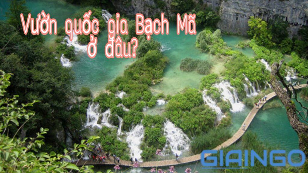 Vườn quốc gia Bạch Mã ở đâu? Cần chuẩn bị những gì khi đến đây 1 Vườn quốc gia Bạch Mã ở đâu?