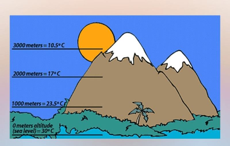 Vì sao khi đo nhiệt độ không khí người ta phải để nhiệt kế trong bóng râm và cách mặt đất 2m