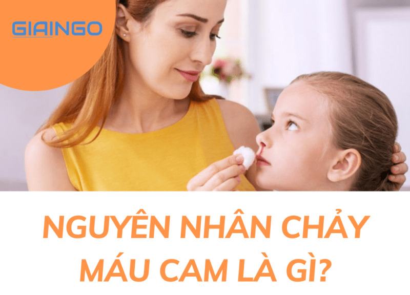 Nguyên nhân chảy máu cam là gì? Cách khắc phục hiệu quả nhất 1 Nguyên nhân chảy máu cam