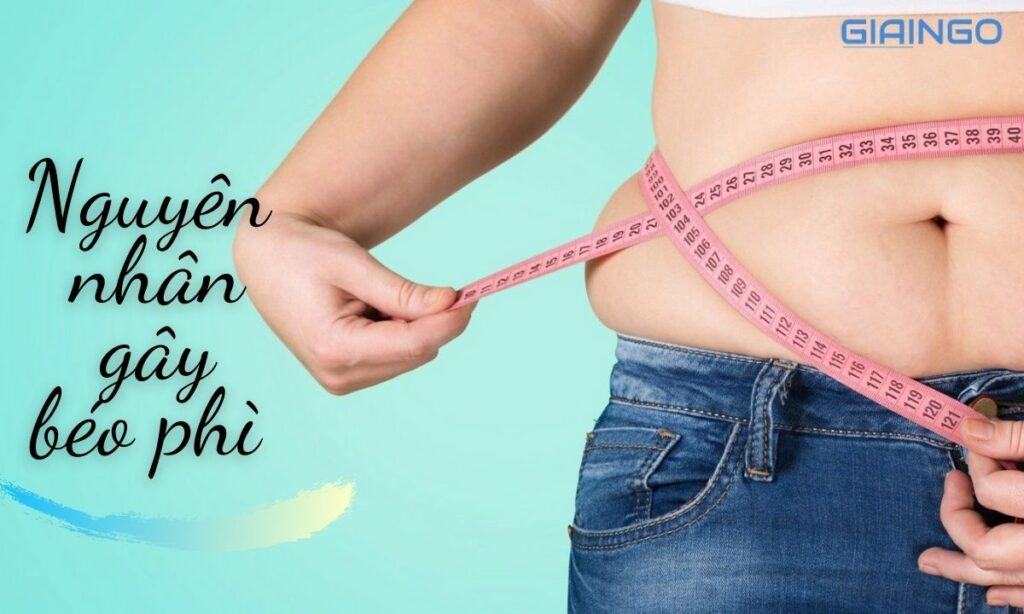 Nguyên nhân gây béo phì là gì? 2 tư thế ngủ giảm mỡ bụng hiệu quả 1 Nguyên nhân gây béo phì là gì?