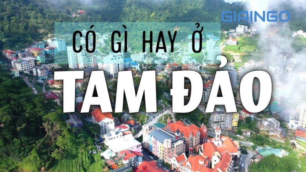Tam đảo ở đâu? Cẩm nang du lịch Tam Đảo ít chi phí nhất dành cho bạn 1 Tam Đảo ở đâu?