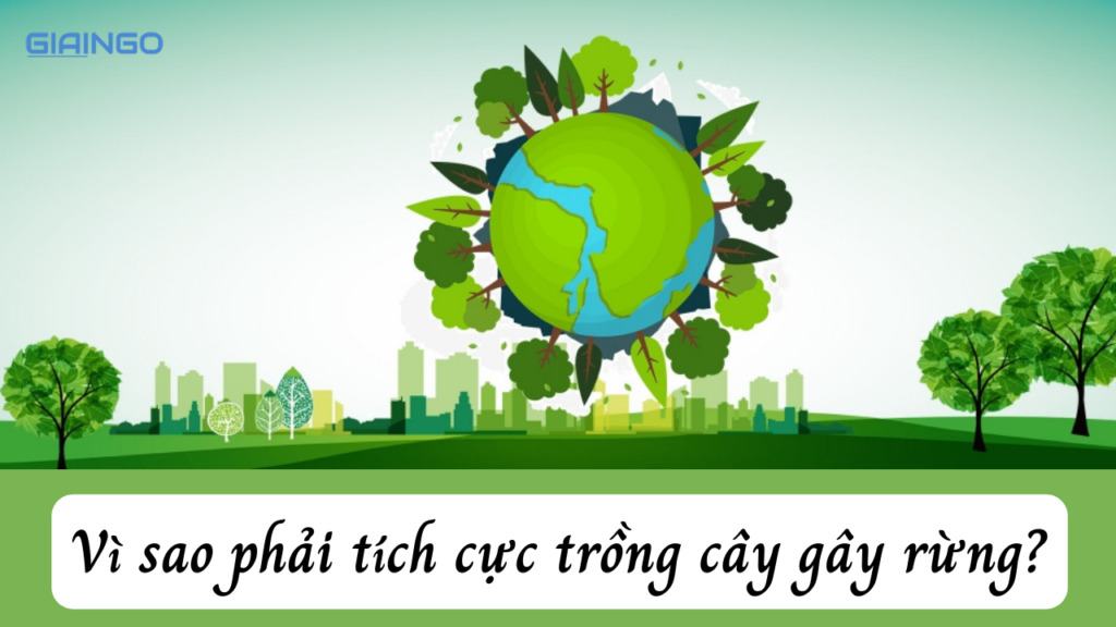 Vì sao phải tích cực trồng cây gây rừng? Vai trò của rừng 1 Vì sao phải tích cực trồng cây gây rừng?
