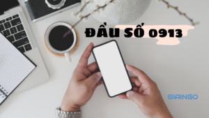 0913 là mạng gì