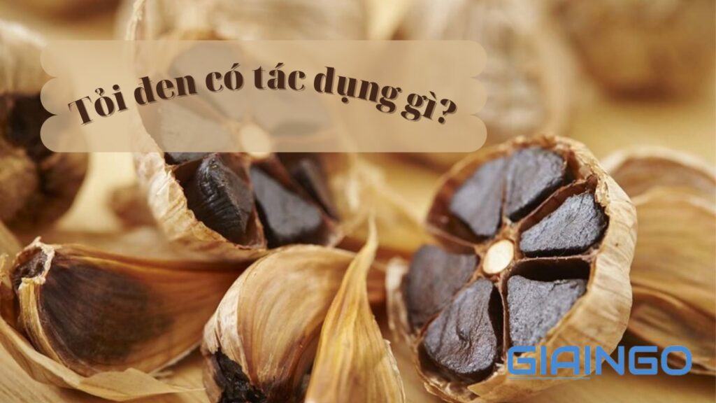 Tỏi đen có tác dụng gì? Bật mí cách ăn tỏi đen đúng cách 1 Tỏi đen có tác dụng gì?