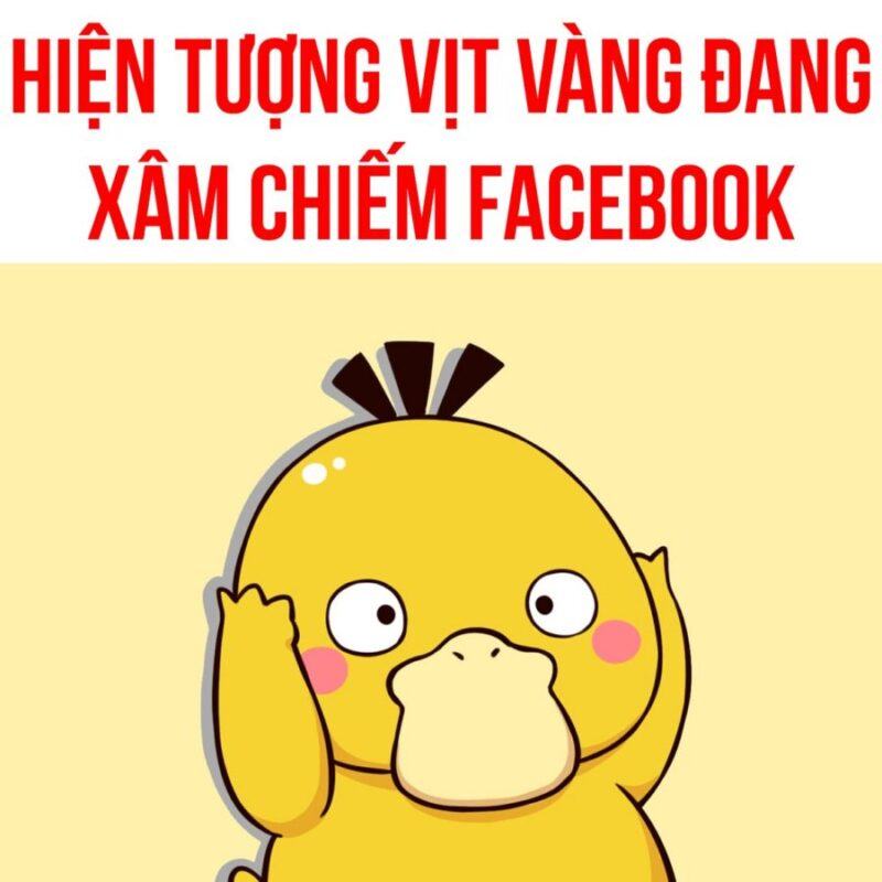 Trào lưu để avatar con vịt vàng trên Facebook là gì 