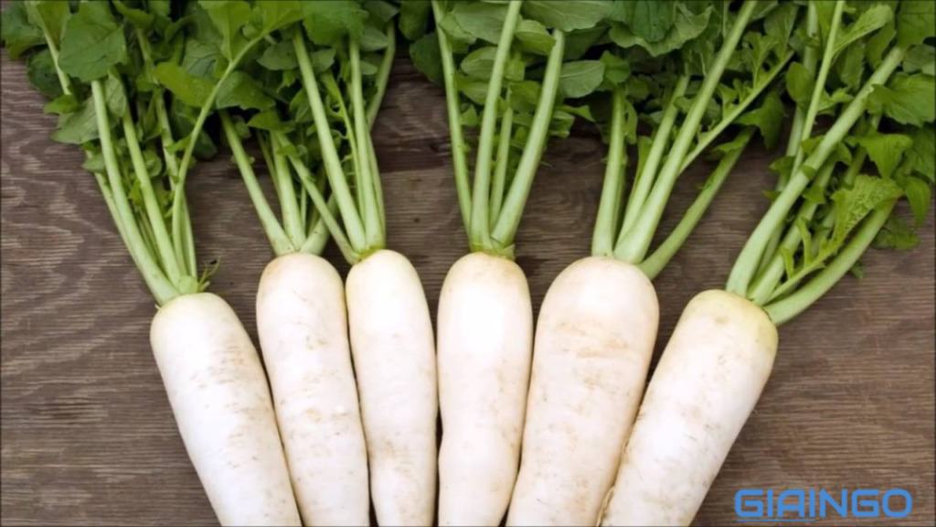 củ cải trắng có tác dụng gì