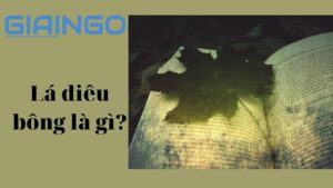 lá diêu bông là gì