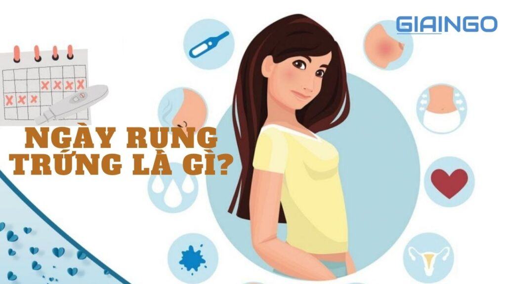 Ngày rụng trứng là gì? Dấu hiệu đến ngày rụng trứng là gì? ngày rụng trứng là gì