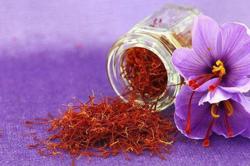 Nhụy hoa nghệ tây có tác dụng gì? 1 gram saffron có giá bao nhiêu?