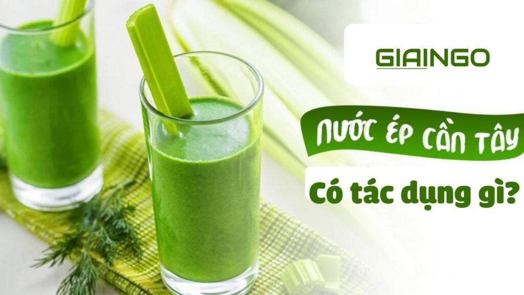 Nước ép cần tây có tác dụng gì? Uống nước ép cần tây bao nhiêu là đủ? 1 Nước ép cần tây có tác dụng gì?