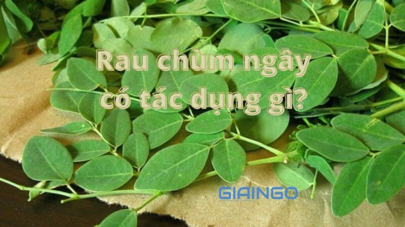 Rau chùm ngây có tác dụng gì? Những lưu ý khi sử dụng