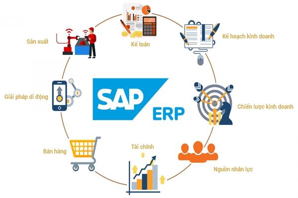 SAP là gì?
