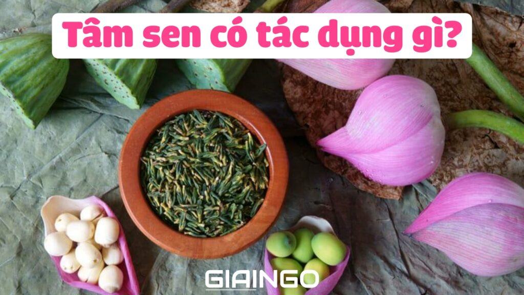 Tâm sen có tác dụng gì? Uống tim sen có giảm cân không? 1 tam sen co tac dung gi 3