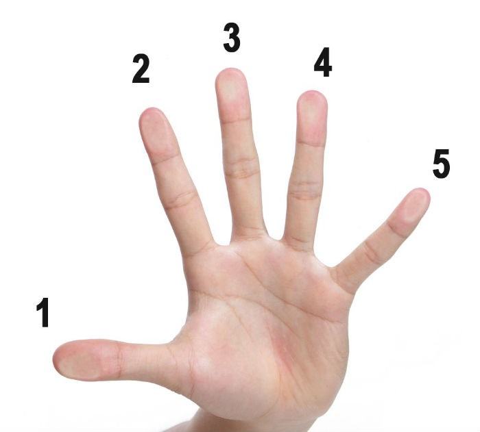 Ý nghĩa 5 ngón tay