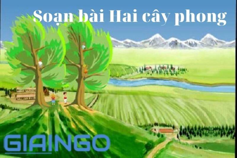 Soạn bài Hai cây phong sách giáo khoa Ngữ văn lớp 8 1 Soạn bài Hai cây phong
