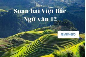 Soạn bài Việt Bắc