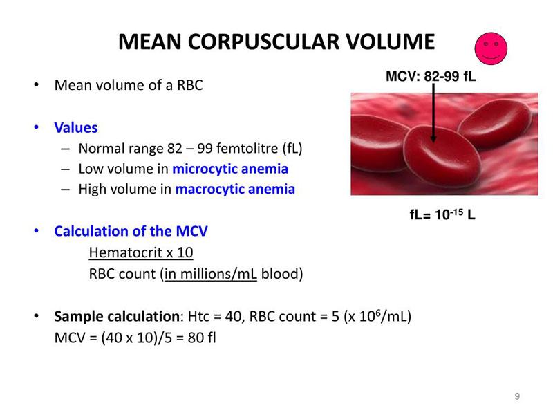 MCV là gì? 2 ý nghĩa của MCV trong xét nghiệm máu
