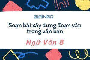 Soạn bài xây dựng đoạn văn trong văn bản