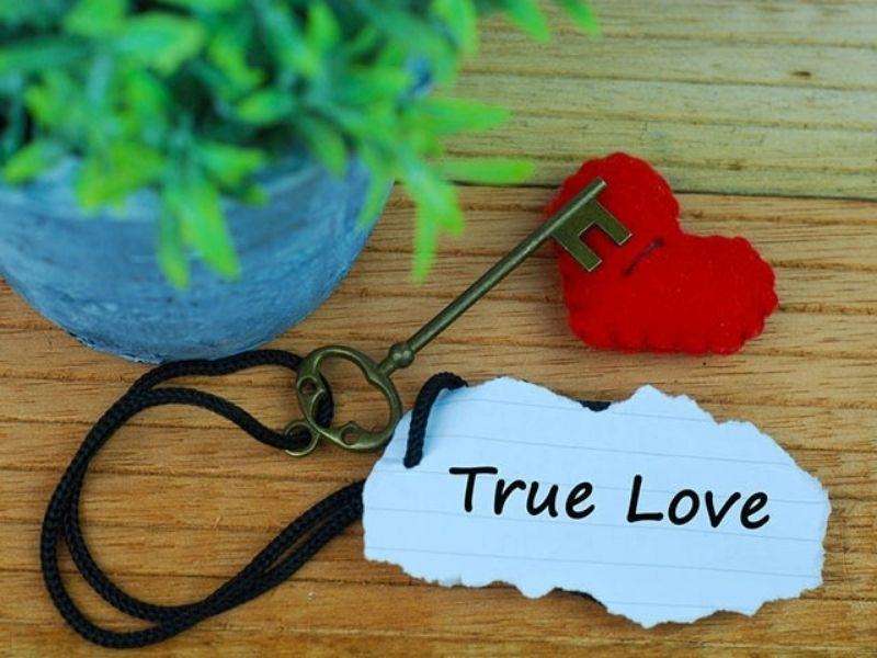 Quan điểm về True love là gì của dàn mỹ nhân showbiz Việt?