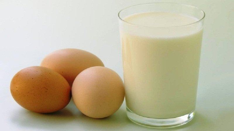 ăn trứng gà sống có tác dụng gì