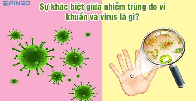 Sự khác nhau giữa vi khuẩn và virus