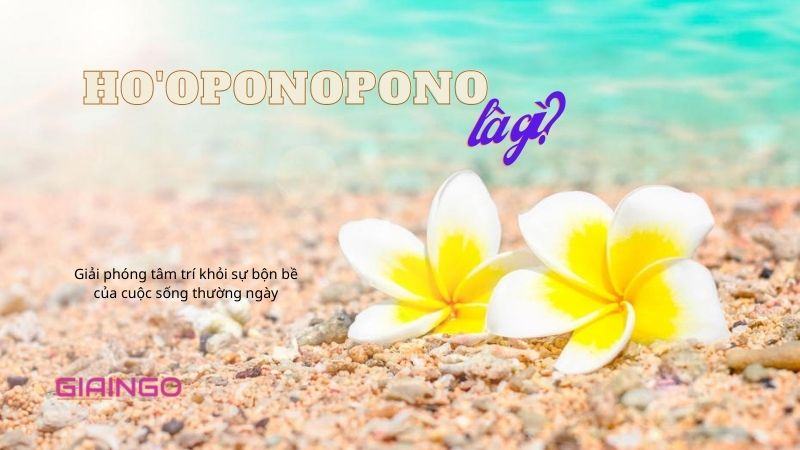 Ho'oponopono là gì? 5 bước đơn giản trong thiền Ho'oponopono 1 Ho'oponopono là gì? 5 bước đơn giản trong thiền Ho'oponopono