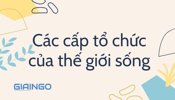 Các cấp tổ chức của thế giới sống - Giải bài tập Sinh học 10 Các cấp tổ chức của thế giới sống - Giải bài tập Sinh học 10