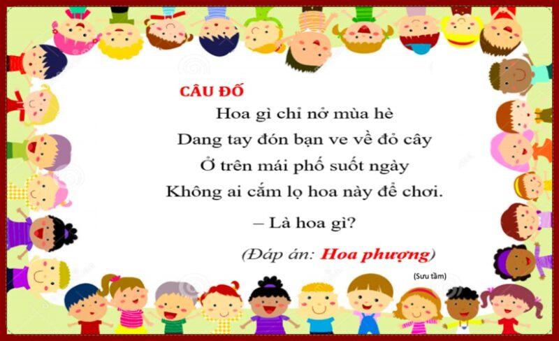 Hoa gì đẹp nhất?