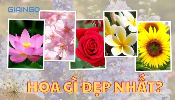 Hoa gì đẹp nhất? Top 10 loài hoa đẹp nhất thế giới 1 Hoa gì đẹp nhất?