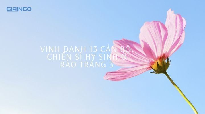 Rào Trăng ở đâu? Rào Trăng có ảnh hưởng gì đến môi trường?