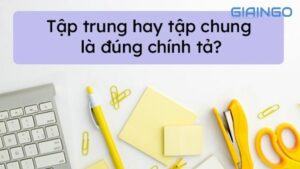 Tập trung hay tập chung đúng chính tả? 2 lý do dễ nhầm lẫn khi viết