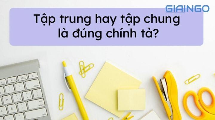 Tập trung hay tập chung đúng? 2 lý do dễ nhầm lẫn khi viết 1 Tập trung hay tập chung đúng chính tả? 2 lý do dễ nhầm lẫn khi viết