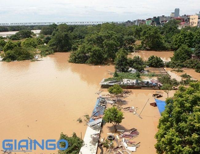 Nêu cách phòng chống lũ lụt ở đồng bằng sông Hồng và đồng bằng sông Cửu Long