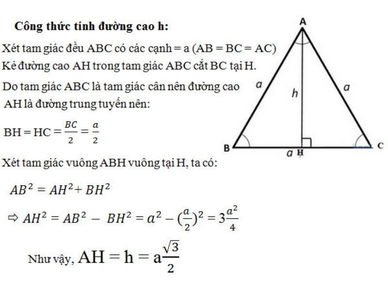 công thức tính chiều cao tam giác đều