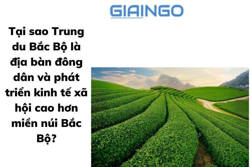 Tại sao Trung du Bắc Bộ là địa bàn đông dân và phát triển kinh tế xã hội cao hơn miền núi Bắc Bộ 1 tai sao trung du bac bo la dia ban dong dan va phat trien kinh te cao hon mien nui bac bo