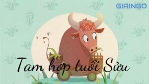 tam hop tuoi suu la gi