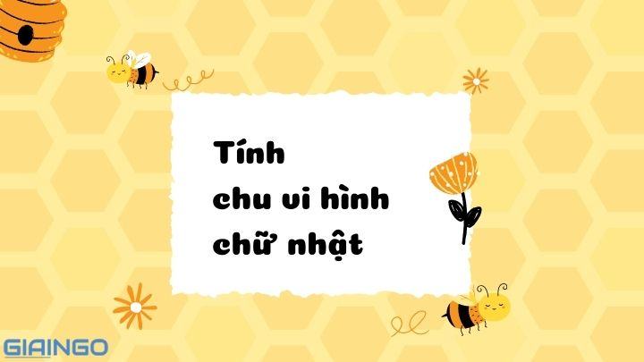 Tính chu vi hình chữ nhật Lớp 3? Chi tiết và dễ hiểu nhất Tinh chu vi hinh chu nhat
